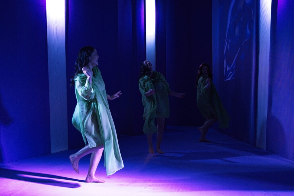 Fotografía de la obra sobre Teresa Wilms Montt