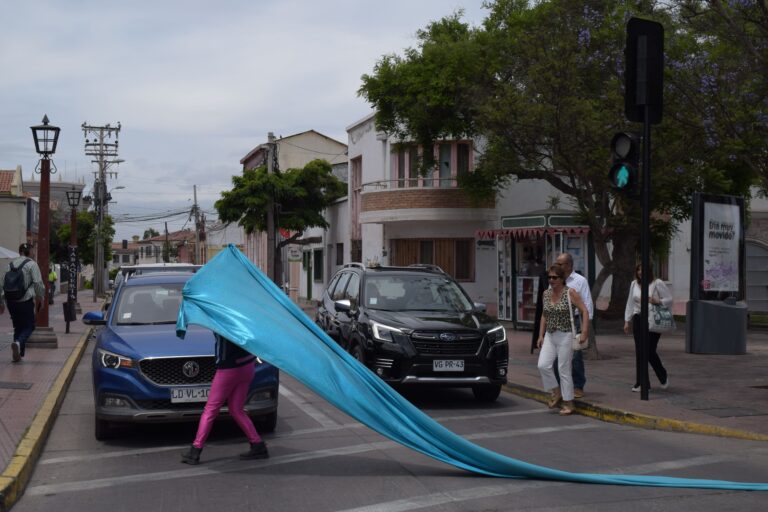 Fotografía de la obra presentada en el centro de La Serena, de la Compañía Teatro en Movimiento Callejerx