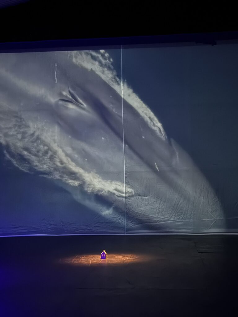 Fotografía de la obra de Teatro de lo Inestable, presentada en Espacio La Gaviota
